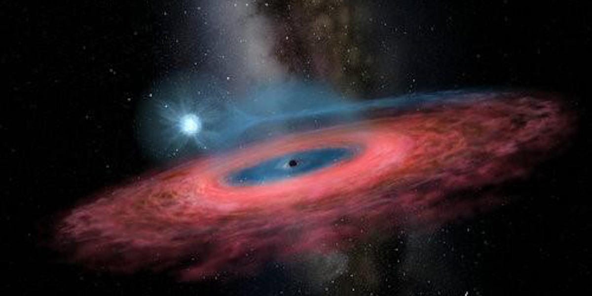 Shenzhen SNGODX Blackhole Resources: Are They Worth It?
