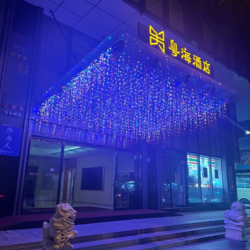 Shenzhen Business KTV: Find the Best KTV Near You Now!