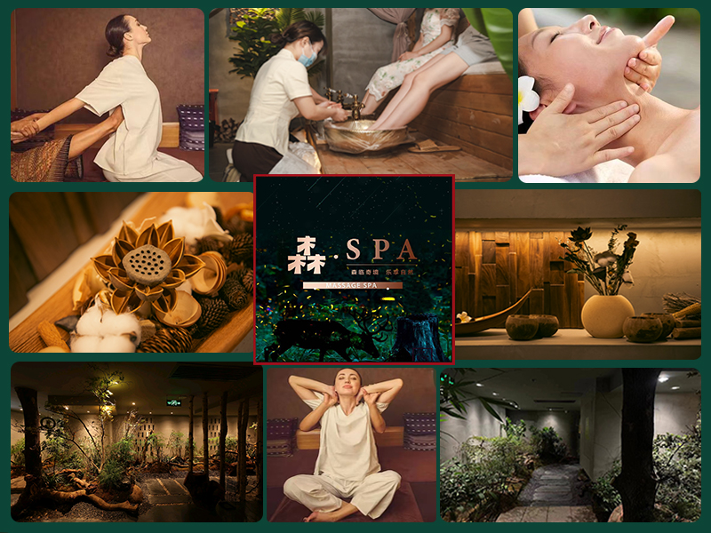 Exploring Shenzhen Spas: An Introduction to Bliss
